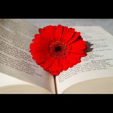 大阪でも仕事あり！寮完備の求人なら㈱SORTで！